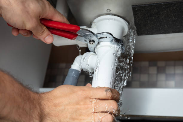 Best Mold removal after water damage  in East Hampton North, NY