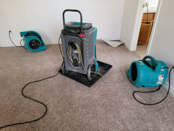 Best Water damage restoration near me  in East Hampton North, NY