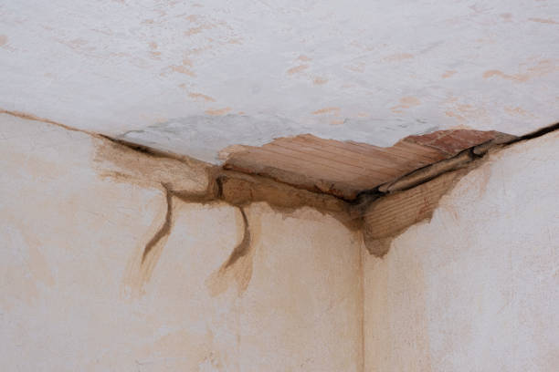 Best Ceiling water damage repair  in East Hampton North, NY