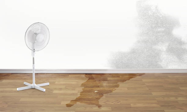 Best Water damage cleanup near me  in East Hampton North, NY