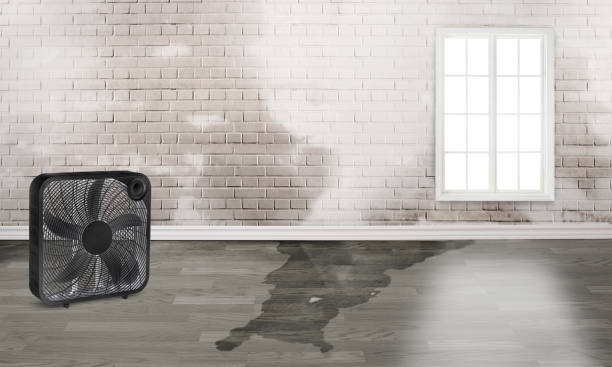 Best Residential water damage restoration  in East Hampton North, NY