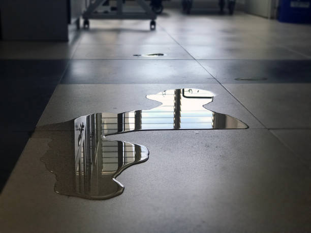 Best 24-hour water damage restoration  in East Hampton North, NY