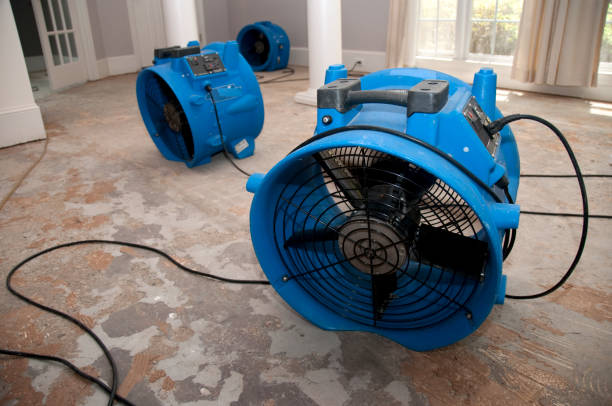 Best Residential water damage restoration  in East Hampton North, NY