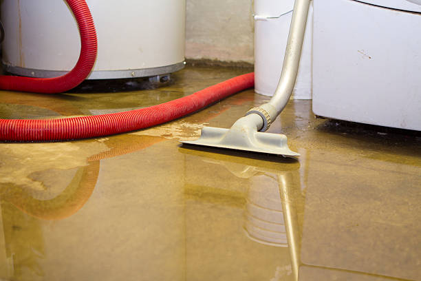 Best Professional water damage repair  in East Hampton North, NY