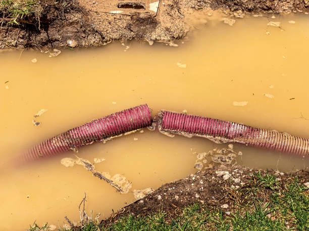 Best Flood restoration services  in East Hampton North, NY